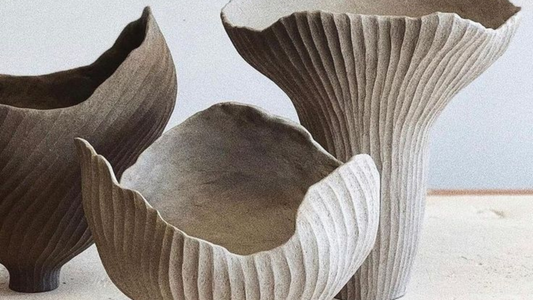 Fungi Glow: How Mushrooms Boost Hydration and Skin Health